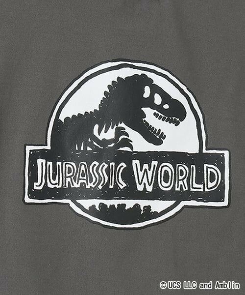 kladskap / クレードスコープ Tシャツ | 【JURASSIC】恐竜クレイジーカラー半袖Tシャツ | 詳細8
