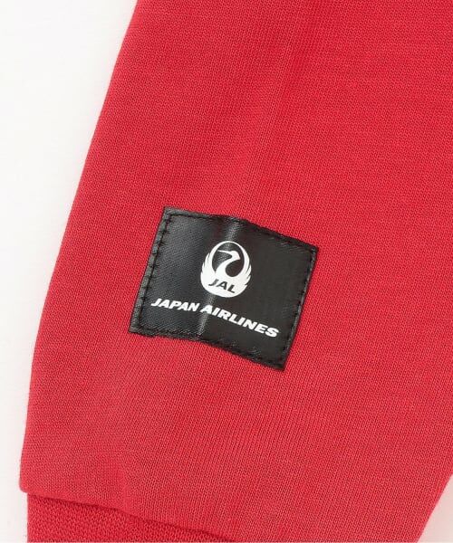 kladskap / クレードスコープ Tシャツ | 【JAL】アップリケ長袖Tシャツ | 詳細5