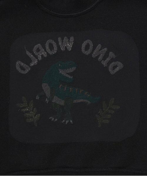 kladskap / クレードスコープ スウェット | 【人気商品再入荷】【直営店で取り扱い無し】サガラ恐竜トレーナー | 詳細4