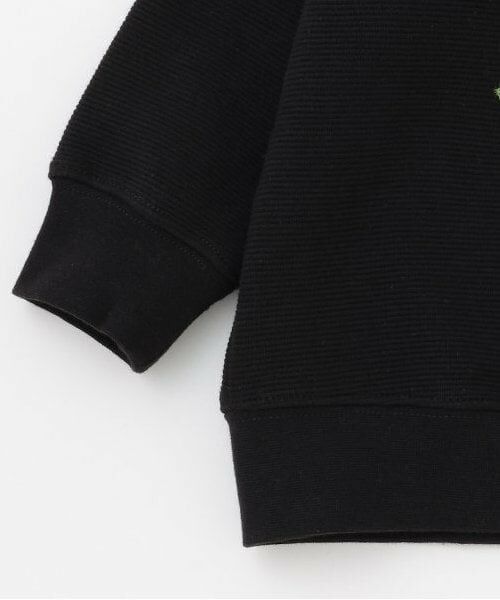 kladskap / クレードスコープ スウェット | 【人気商品再入荷】【直営店で取り扱い無し】サガラ恐竜トレーナー | 詳細6