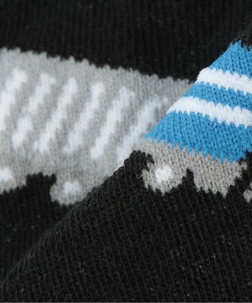 kladskap / クレードスコープ ソックス | 電車クルーソックス | 詳細4