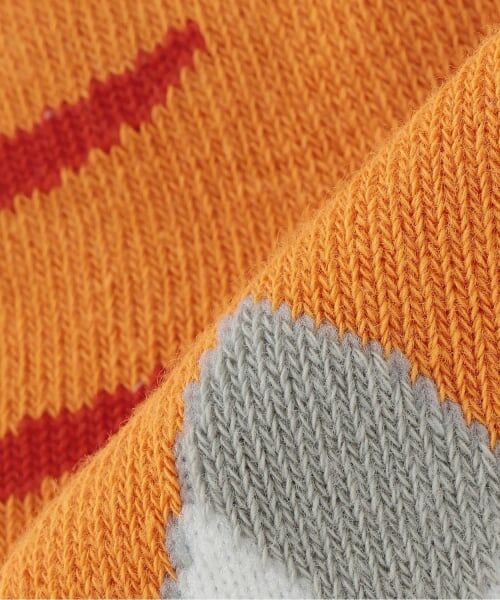 kladskap / クレードスコープ ソックス | 恐竜ショートソックス | 詳細4