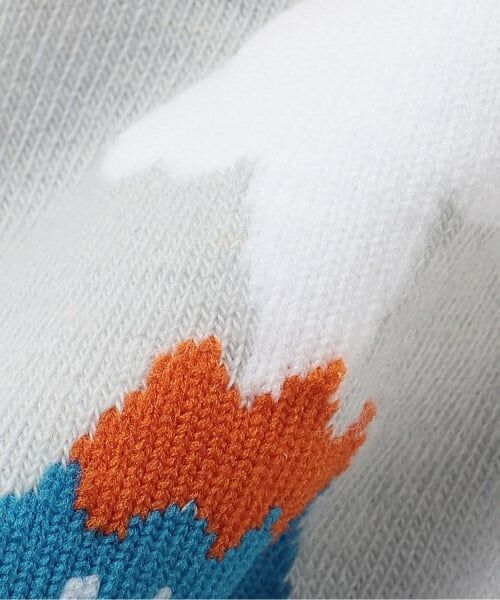 kladskap / クレードスコープ ソックス | 恐竜ショートソックス2足セット | 詳細5