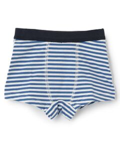 kladskap / クレードスコープ ショーツ | 恐竜/消防車アンダーウェア