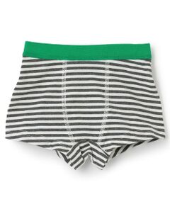 kladskap / クレードスコープ ショーツ | 恐竜/消防車アンダーウェア