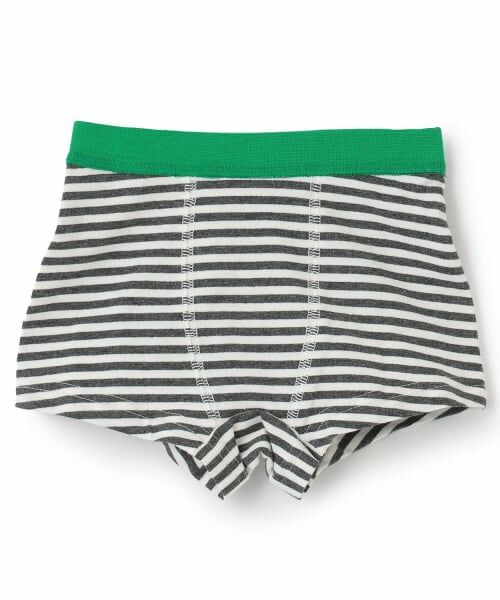 kladskap / クレードスコープ ショーツ | 恐竜/消防車アンダーウェア（グレー）