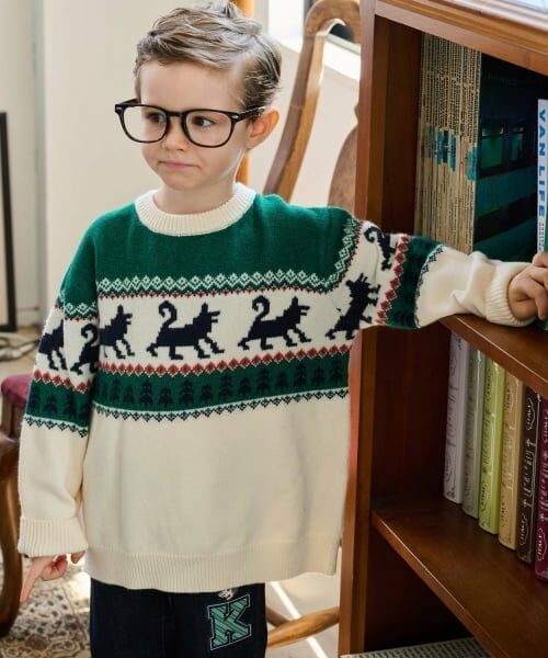 kladskap / クレードスコープ ニット・セーター | オオカミニットプルオーバー | 詳細11