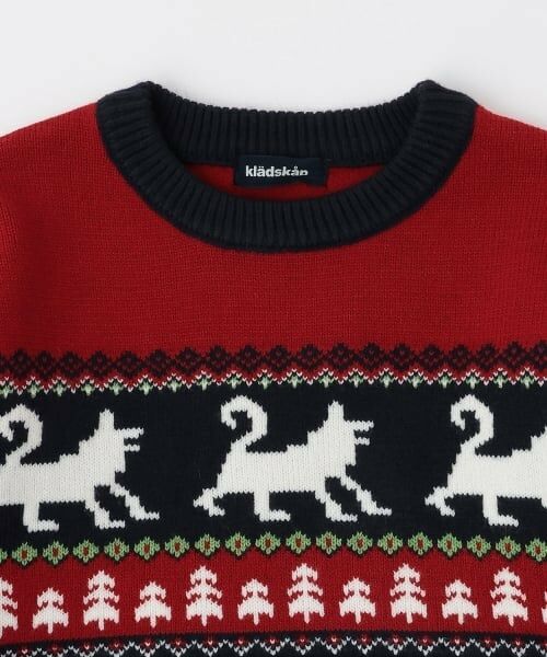 kladskap / クレードスコープ ニット・セーター | オオカミニットプルオーバー | 詳細3