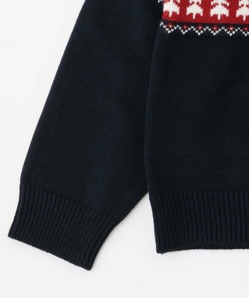 kladskap / クレードスコープ ニット・セーター | オオカミニットプルオーバー | 詳細4