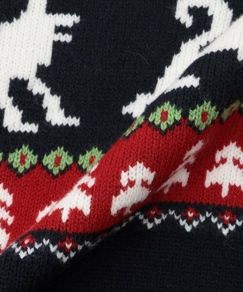 kladskap / クレードスコープ ニット・セーター | オオカミニットプルオーバー | 詳細5
