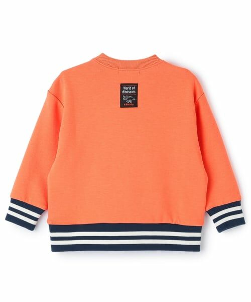 kladskap / クレードスコープ スウェット | フーディーザウルス/恐竜トレーナー | 詳細1