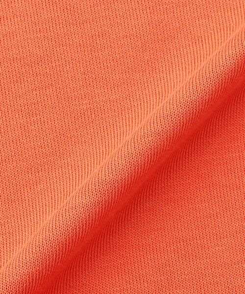 kladskap / クレードスコープ スウェット | フーディーザウルス/恐竜トレーナー | 詳細5