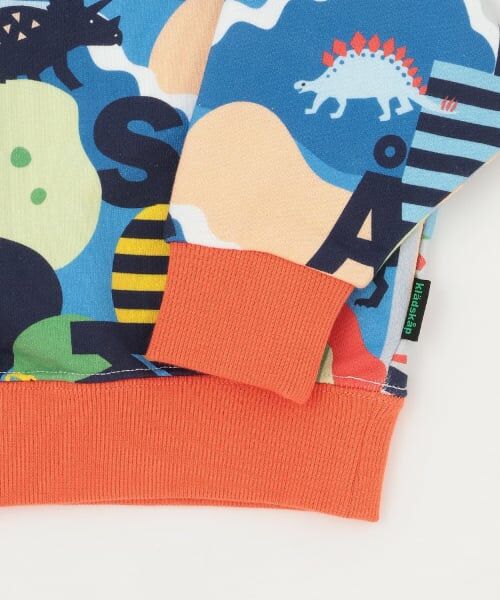 kladskap / クレードスコープ スウェット | 恐竜×ロゴ総柄トレーナー | 詳細3