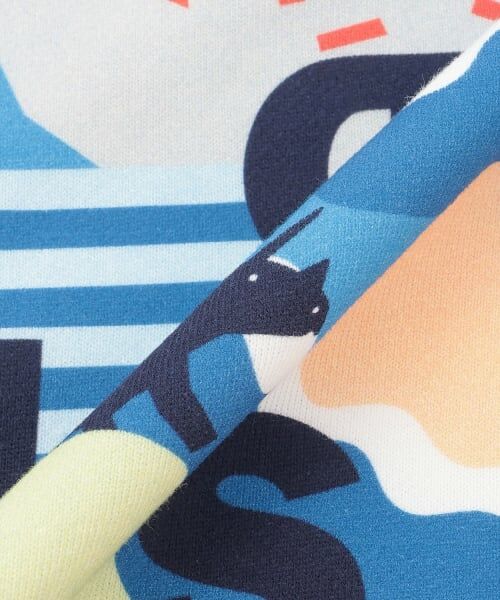 kladskap / クレードスコープ スウェット | 恐竜×ロゴ総柄トレーナー | 詳細5