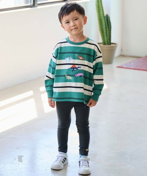 kladskap / クレードスコープ スウェット | 恐竜ボーダートレーナー | 詳細12