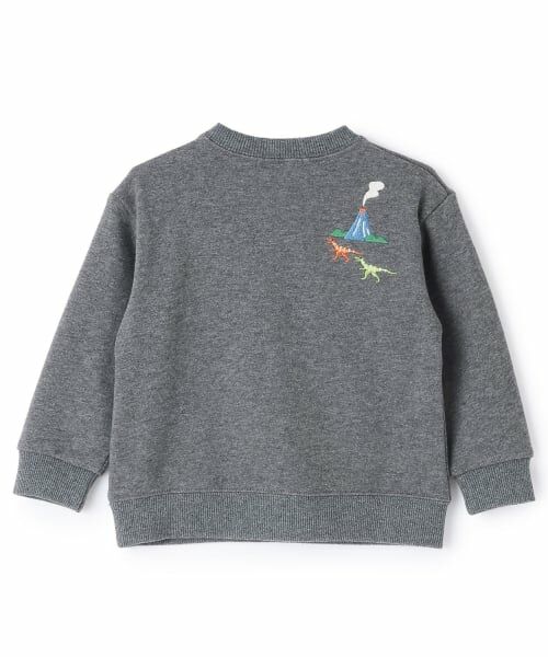 kladskap / クレードスコープ スウェット | 恐竜アイランドトレーナー | 詳細1