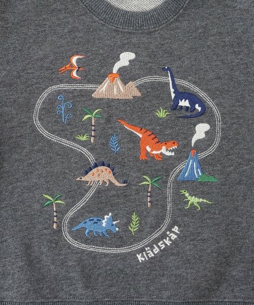 kladskap / クレードスコープ スウェット | 恐竜アイランドトレーナー | 詳細3