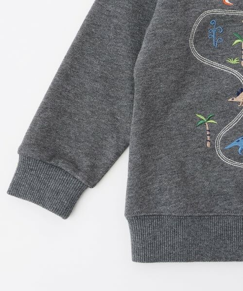 kladskap / クレードスコープ スウェット | 恐竜アイランドトレーナー | 詳細4