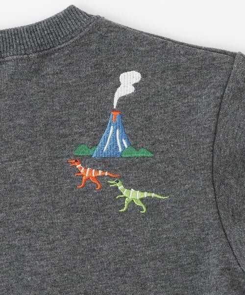 kladskap / クレードスコープ スウェット | 恐竜アイランドトレーナー | 詳細5