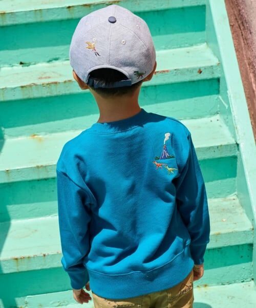 kladskap / クレードスコープ スウェット | 恐竜アイランドトレーナー | 詳細9