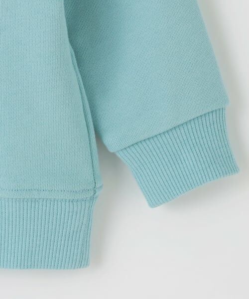 kladskap / クレードスコープ スウェット | 動物と恐竜と車トレーナー | 詳細5