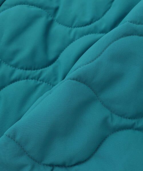 kladskap / クレードスコープ ブルゾン | 恐竜リバーシブル中わたブルゾン | 詳細12