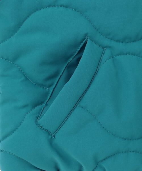 kladskap / クレードスコープ ブルゾン | 恐竜リバーシブル中わたブルゾン | 詳細7