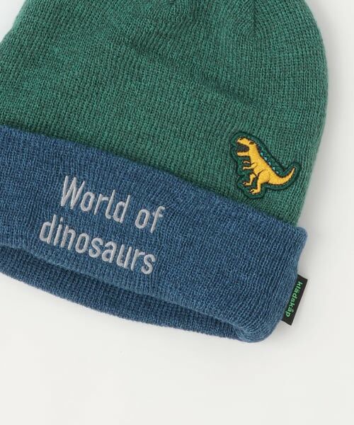 kladskap / クレードスコープ ニットキャップ | 恐竜ニット帽 | 詳細2