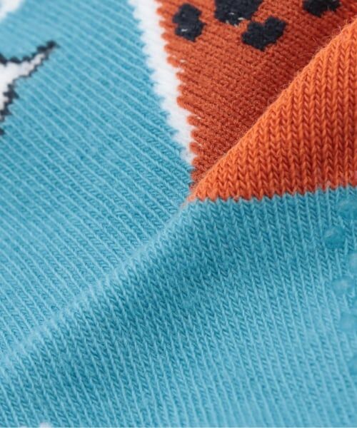 kladskap / クレードスコープ ソックス | かかと恐竜ショートソックス | 詳細3