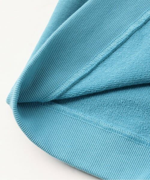 kladskap / クレードスコープ スウェット | 恐竜トレーナー | 詳細6