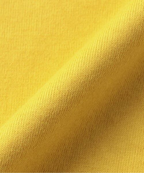 kladskap / クレードスコープ Tシャツ | 恐竜長袖Tシャツ | 詳細8