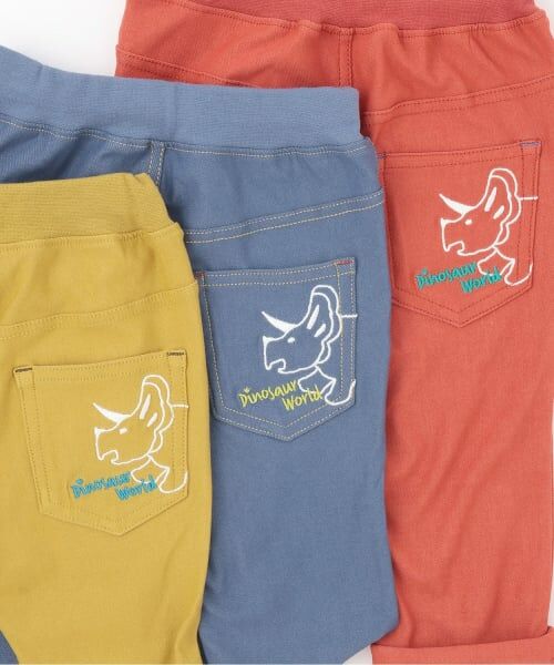 kladskap / クレードスコープ その他パンツ | 恐竜刺しゅうロング丈ストレートパンツ | 詳細11