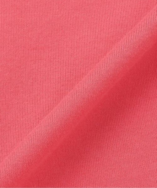 kladskap / クレードスコープ Tシャツ | ピクニックアップリケ半袖Tシャツ | 詳細9