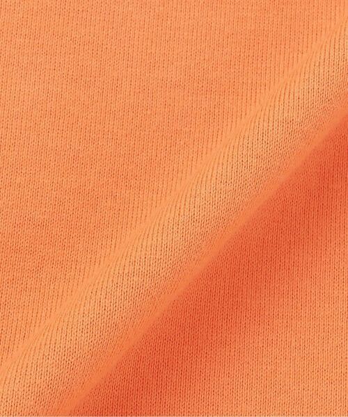 kladskap / クレードスコープ Tシャツ | ピクニックザウルス長袖Tシャツ | 詳細9