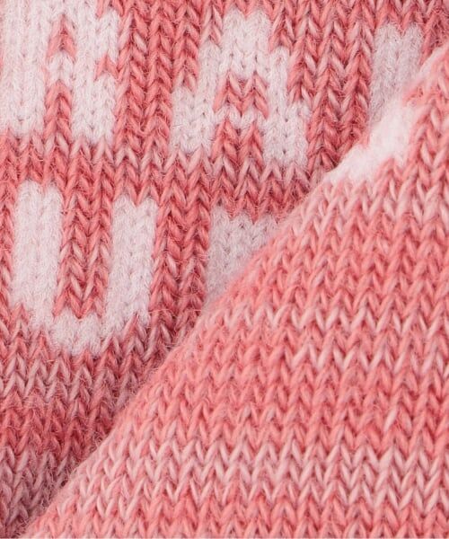 kladskap / クレードスコープ ソックス | 2足セット恐竜ショートソックス | 詳細4