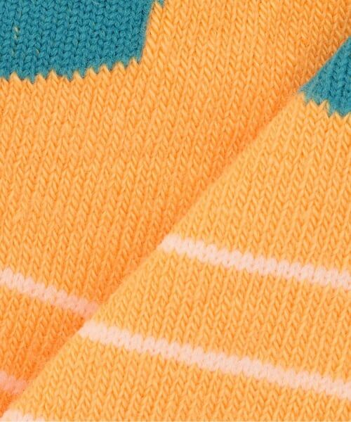 kladskap / クレードスコープ ソックス | 2足セットお弁当ショートソックス | 詳細4