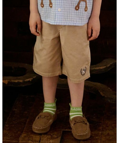 kladskap / クレードスコープ ソックス | 恐竜刺しゅうボーダースニーカーインソックス | 詳細7