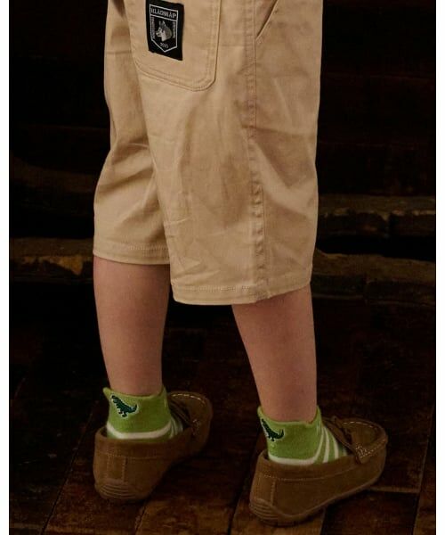 kladskap / クレードスコープ ソックス | 恐竜刺しゅうボーダースニーカーインソックス | 詳細8