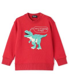 kladskap / クレードスコープ スウェット | 【人気商品再入荷】【直営店で取り扱い無し】恐竜サガラトレーナー