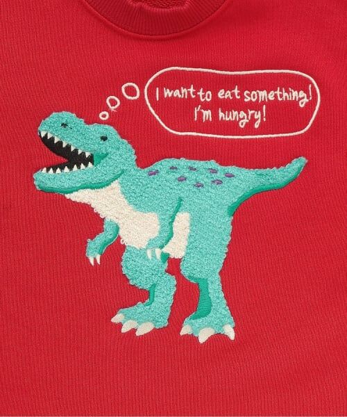 kladskap / クレードスコープ スウェット | 【人気商品再入荷】【直営店で取り扱い無し】恐竜サガラトレーナー | 詳細3