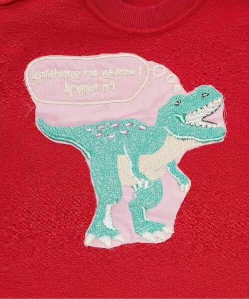 kladskap / クレードスコープ スウェット | 【人気商品再入荷】【直営店で取り扱い無し】恐竜サガラトレーナー | 詳細4