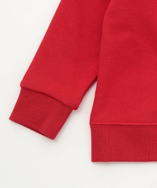 kladskap / クレードスコープ スウェット | 【人気商品再入荷】【直営店で取り扱い無し】恐竜サガラトレーナー | 詳細5