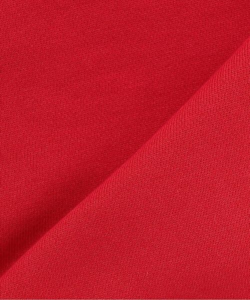 kladskap / クレードスコープ スウェット | 【人気商品再入荷】【直営店で取り扱い無し】恐竜サガラトレーナー | 詳細7