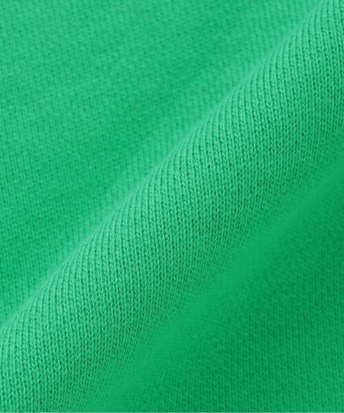 kladskap / クレードスコープ スウェット | 【人気商品再入荷】【直営店で取り扱い無し】恐竜トレーナー | 詳細4