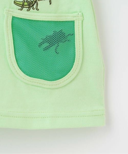 kladskap / クレードスコープ Tシャツ | 【人気商品再入荷】【直営店で取り扱い無し】ポケットから昆虫半袖Tシャツ | 詳細6