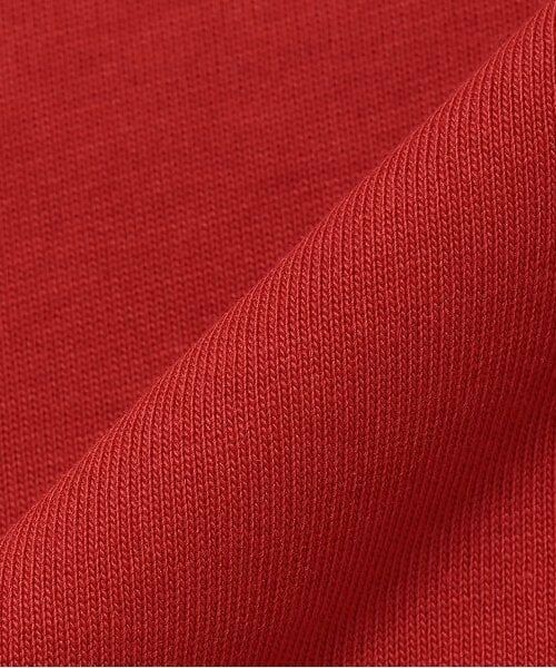 kladskap / クレードスコープ Tシャツ | 【人気商品再入荷】【直営店で取り扱い無し】サガラ恐竜長袖Tシャツ | 詳細7