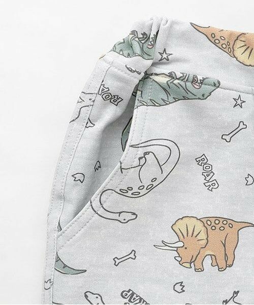 kladskap / クレードスコープ その他パンツ | 【人気商品再入荷】【直営店で取り扱い無し】恐竜総柄6分丈パンツ | 詳細4