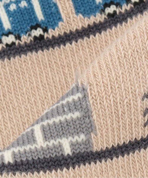 kladskap / クレードスコープ ソックス | 【人気商品再入荷】【直営店で取り扱い無し】電車クルーソックス | 詳細3