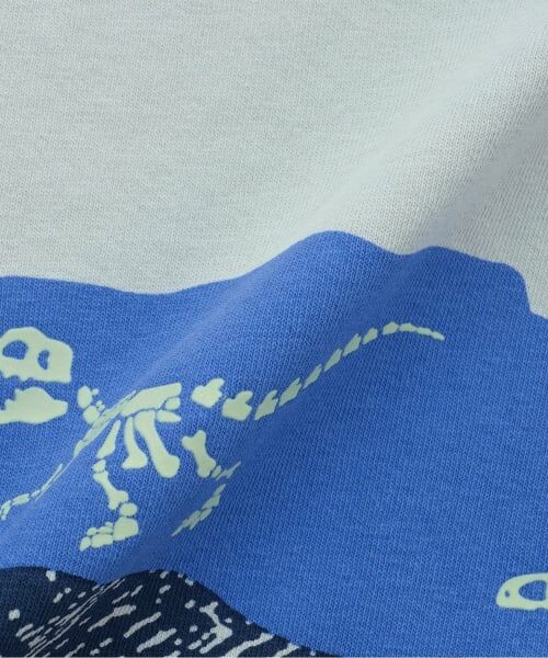 kladskap / クレードスコープ Tシャツ | 蓄光プリント地層と化石半袖Tシャツ | 詳細9