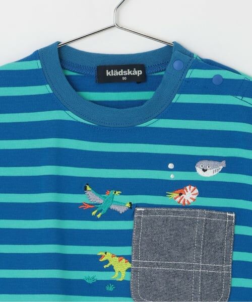 kladskap / クレードスコープ Tシャツ | 太古の生きものボーダー半袖Tシャツ | 詳細2